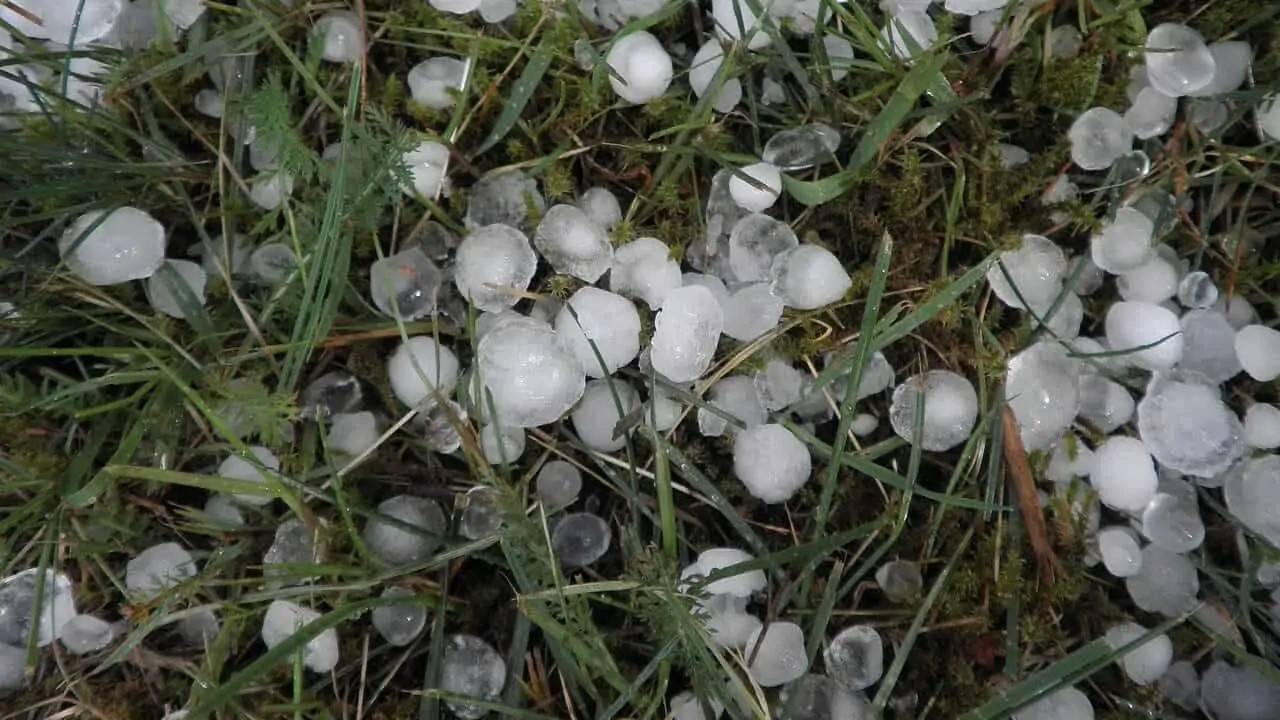 Kashmir Valley Hit by Hailstorms, Agriculture Damage Assessment Underway