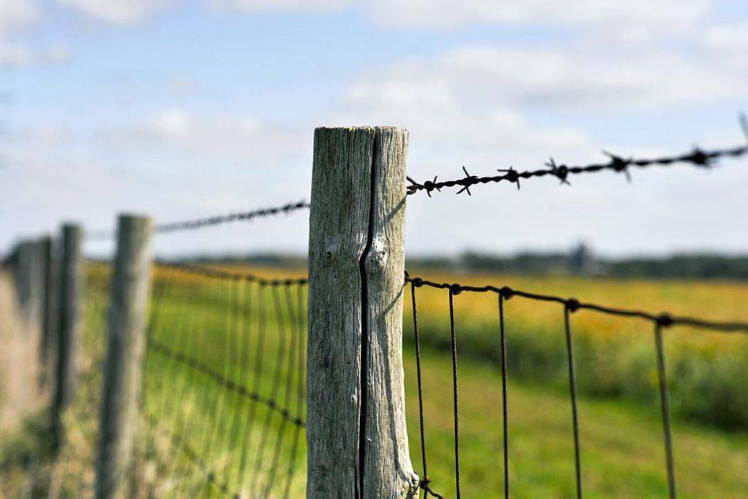 Rajasthan Govt Allocates Rs 444.40 Cr for Barbed Wire Fencing on Agri Fields