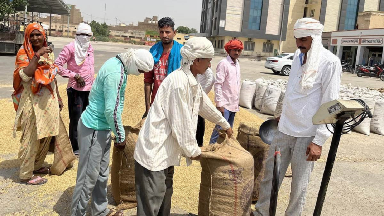 Wheat procurement in Punjab is expected to be set at 120 lakh MT which is higher than the previous year