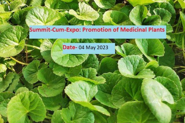 Summit-Cum-Expo: Promotion of Medicinal Plants