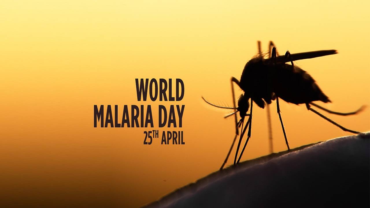 speech on world malaria day