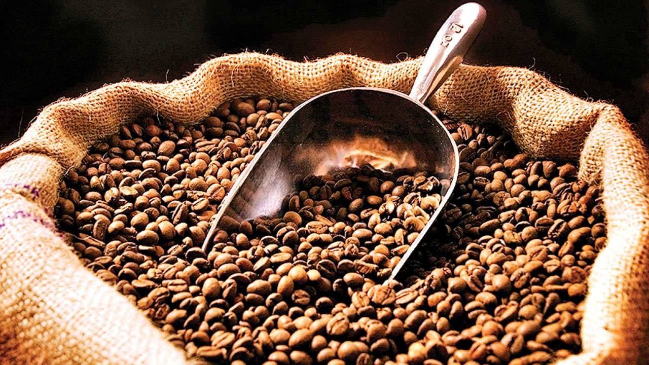 For the next two quarters, India’s coffee exports are expected to go up by 10% year-on-year in value terms.
