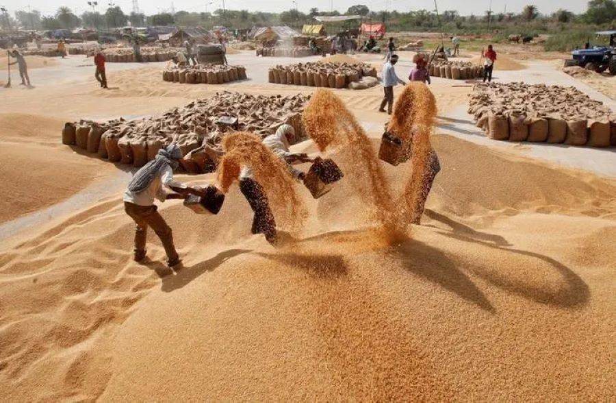 Deputy CM Orders Probe into Wheat Offloading at Madina Village Crematorium
