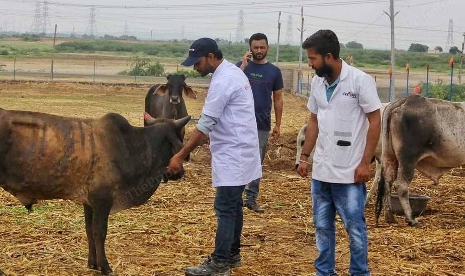 DAHD & VCI Join Hands to Celebrate World Veterinary Day 2023 Tomorrow