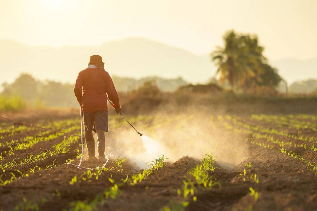 Report Finds Australia Fails to Monitor Effect of Agricultural Chemicals on Humans