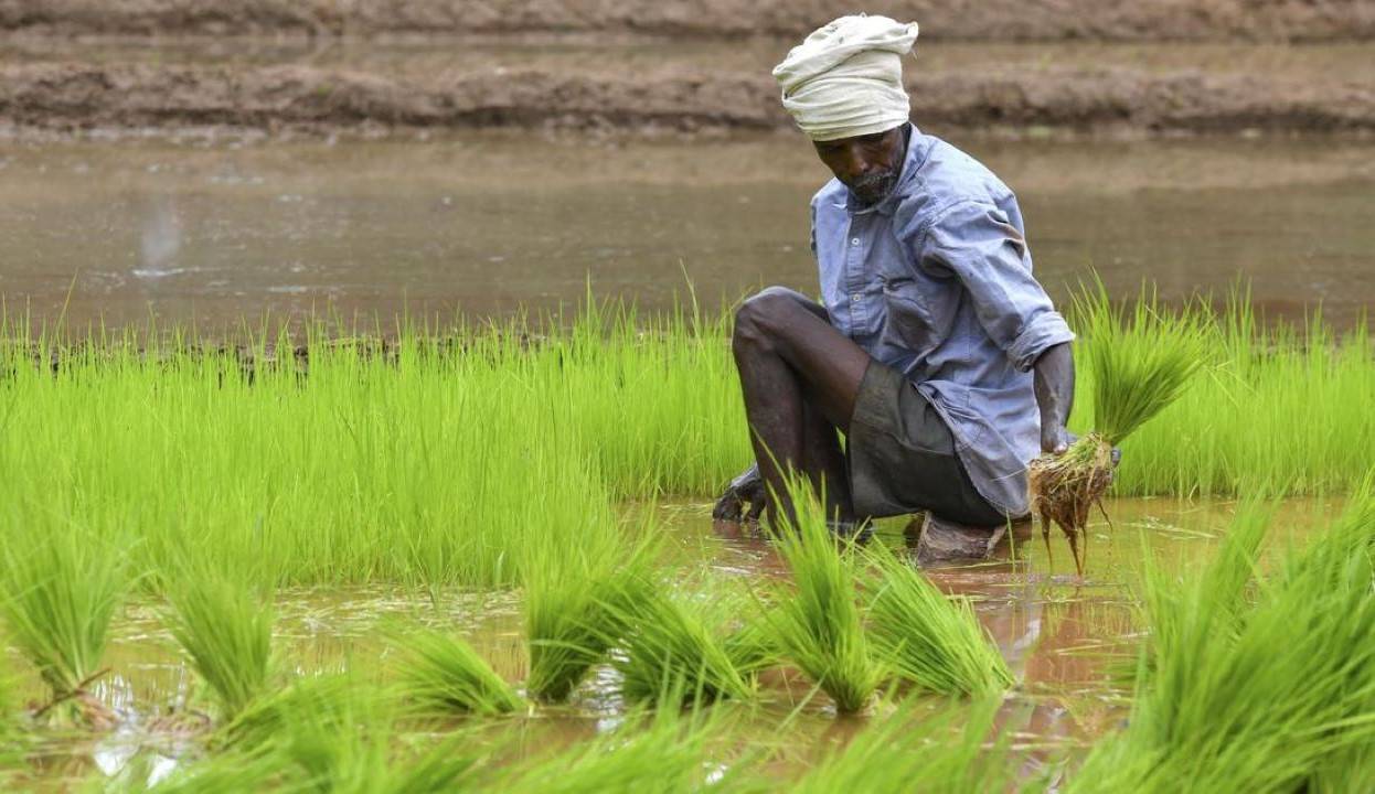 Rythu Sadhikara Samstha: Andhra Pradesh to Train 11,000 Ryots in Natural Farming