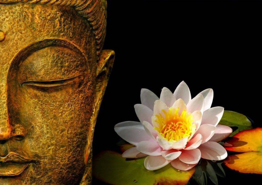 Buddha Purnima: Celebrating the Life & Teachings of Lord Buddha