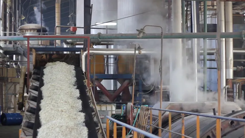 Maharashtra Sets Record in Sugar Production with Highest No of Mills & Capacity