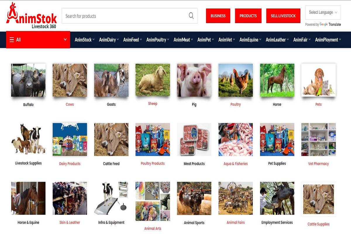 Animpet Launches Animstok.com, India's First Integrated E-Marketplace for the Thriving Animal Economy!