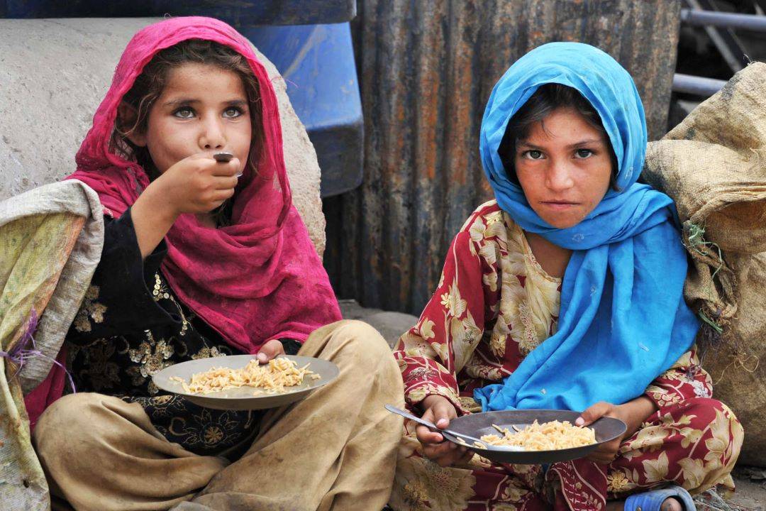 Acute Food Insecurity in Afghanistan, Says FAO Economist