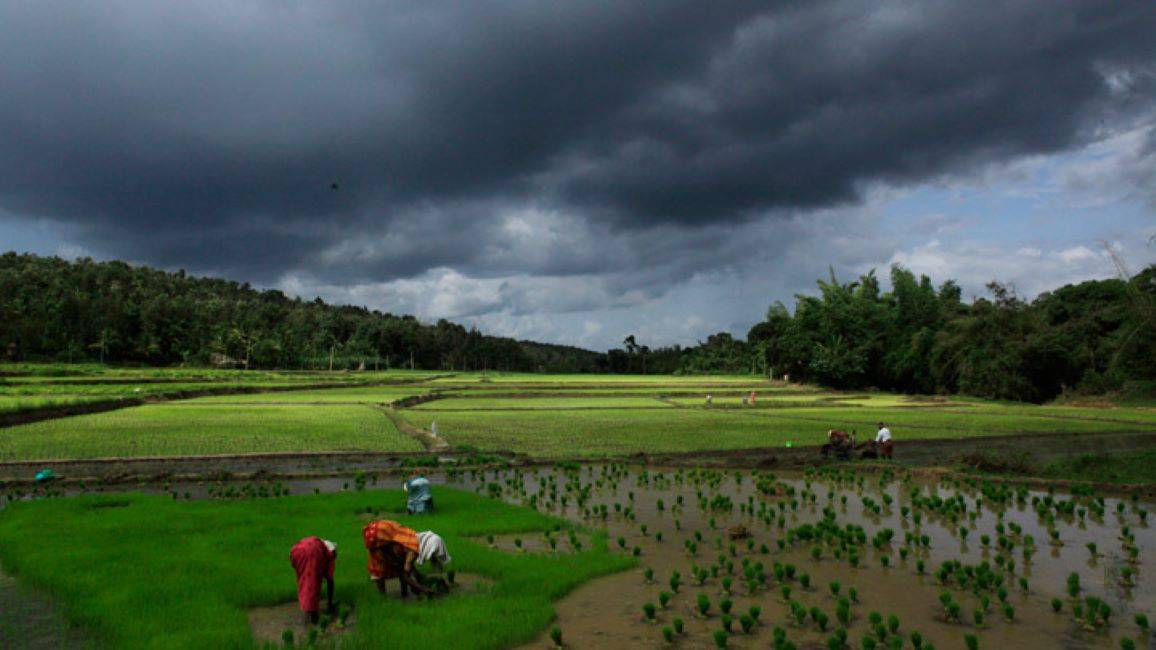 Nashik Agri Dept Devises Contingency Plan for Weak or Delayed Monsoons