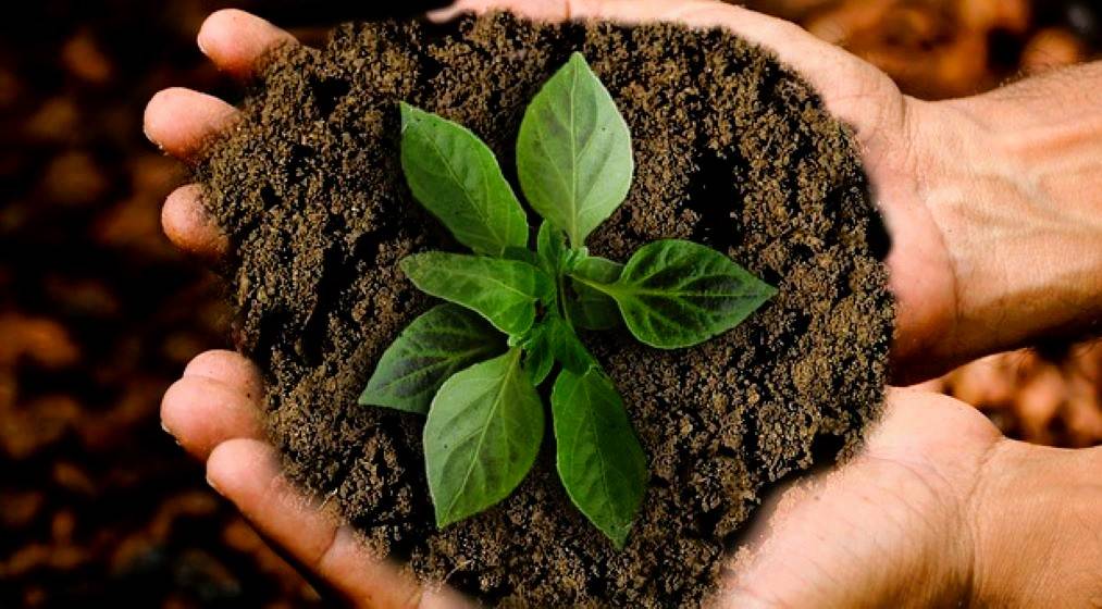 US, UAE Climate-Friendly Farming Fund Reaches USD 13 Bn Milestone (Photo Source: Pixabay)