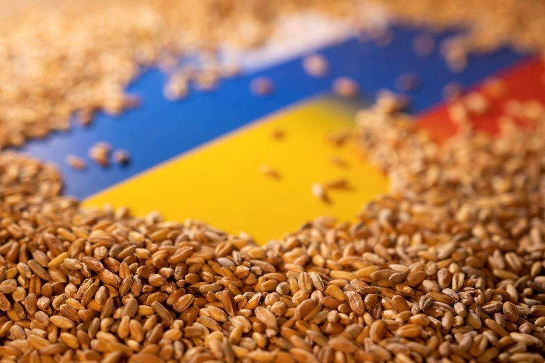 UN Proposals Under Consideration in Talks to Extend Ukraine's Grain Deal (Photo Source: Reuters)