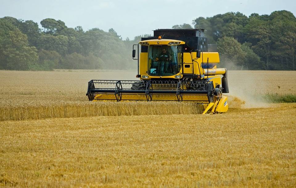 J&K Farmers Adopt Modern Tech for Wheat Threshing, Increasing Productivity & Saving Time (Photo Source: Pixabay)