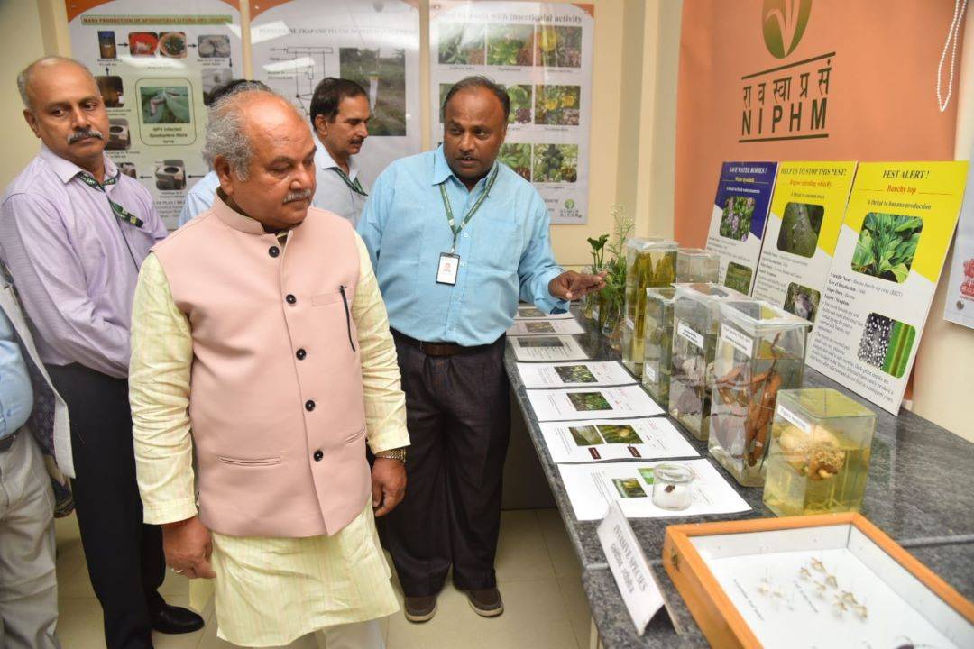 Integrated Bio Control Laboratory (BC Lab) at NIPHM is a state-of-the-art facility that provides hands-on experience in the production of biopesticides, biocontrol agents...