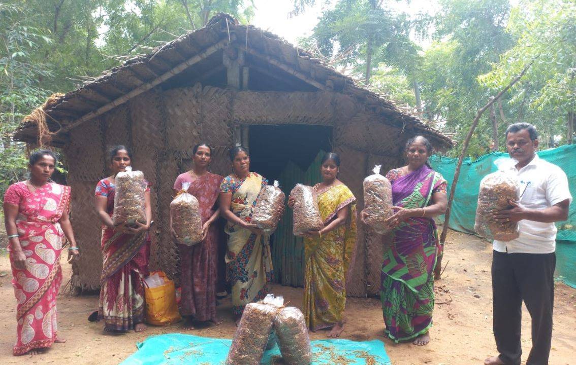 Rang De Partners with Mission Samriddhi to Empower Mushroom Farmers in TN