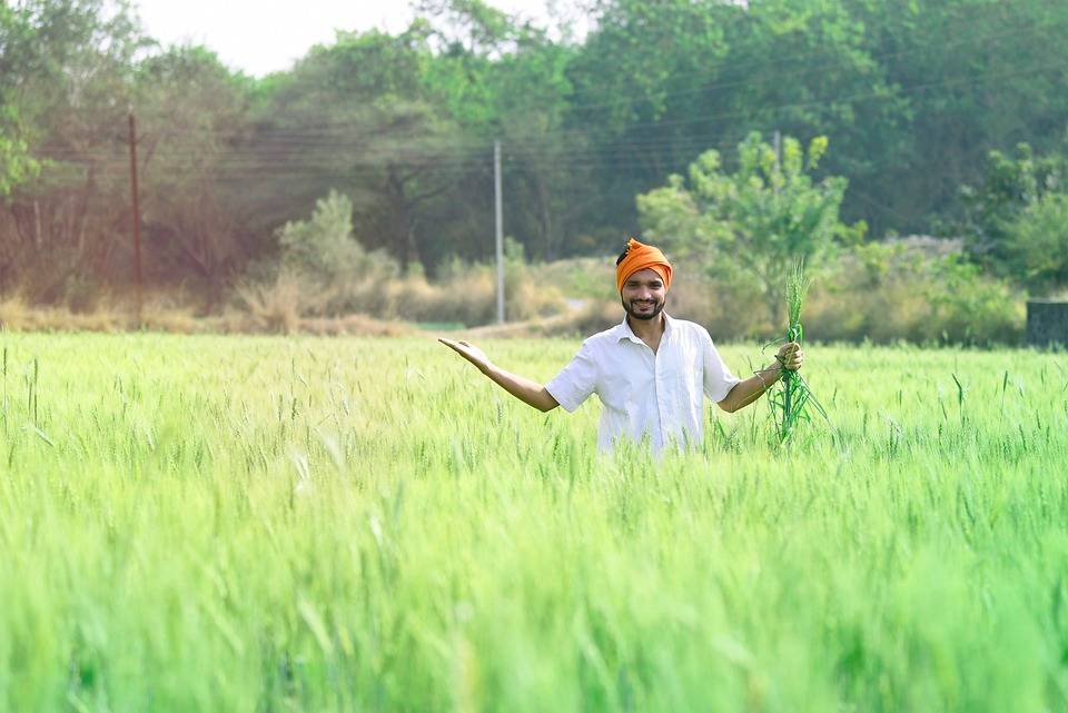 1168 Farmers Shortlisted for Phase II of Organic Farming in 7 Blocks of Bhagalpur, Bihar (Photo Source: Pixabay)