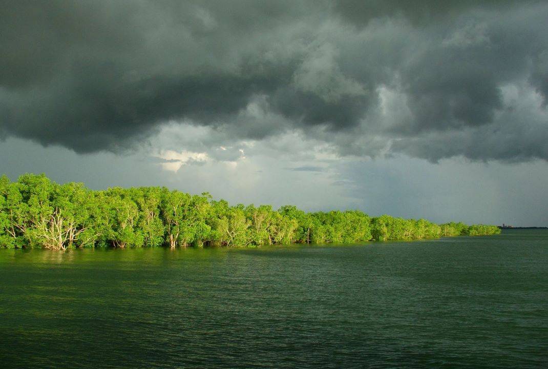 IMD Predicts Delayed Monsoon Onset Over Kerala, Likely on June 4 (Photo Source: Wallpaper Access)