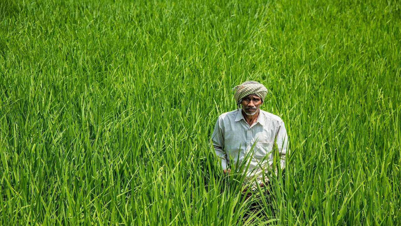 Under this scheme, 3.5 million farmers are expected to get benefits.