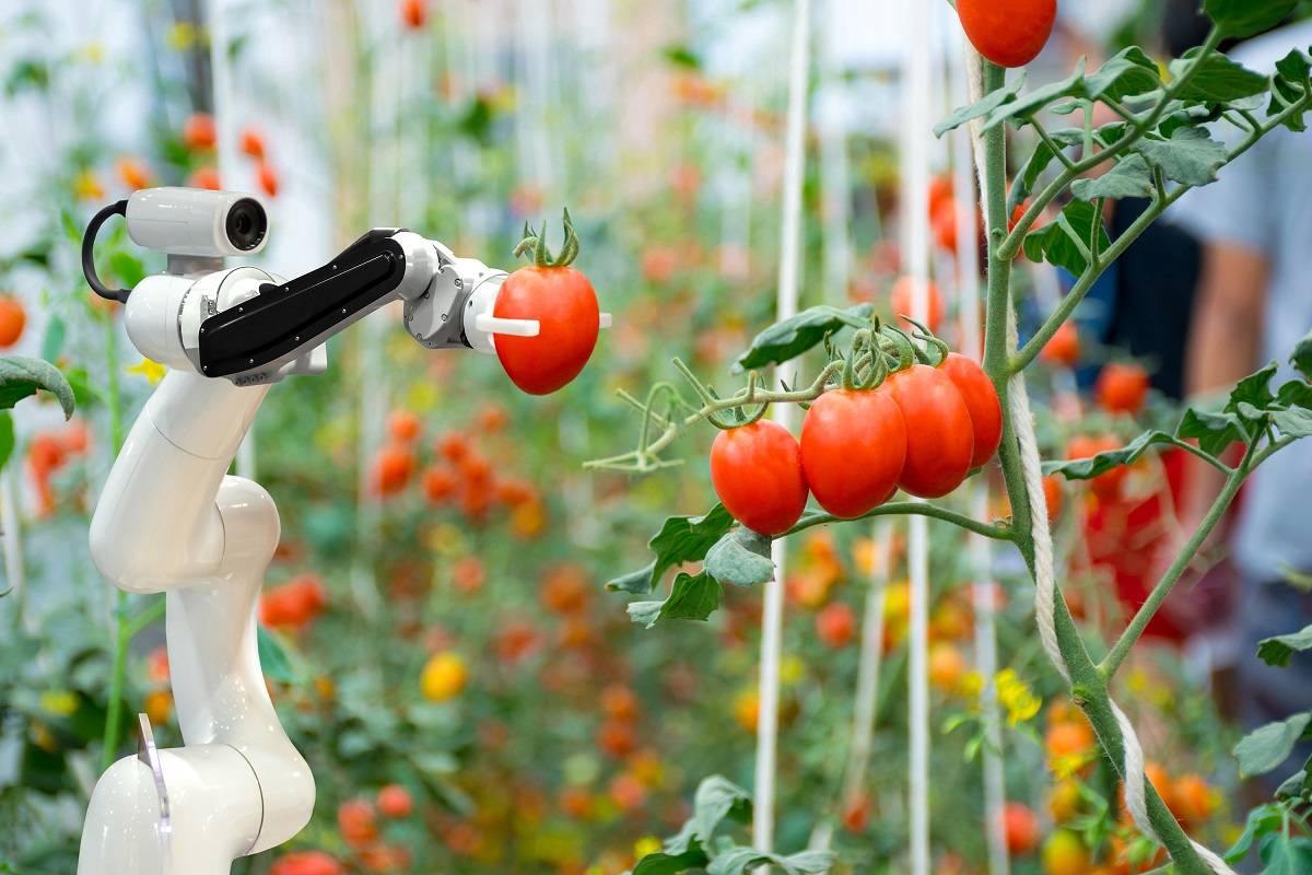 AI is the future of farming in India