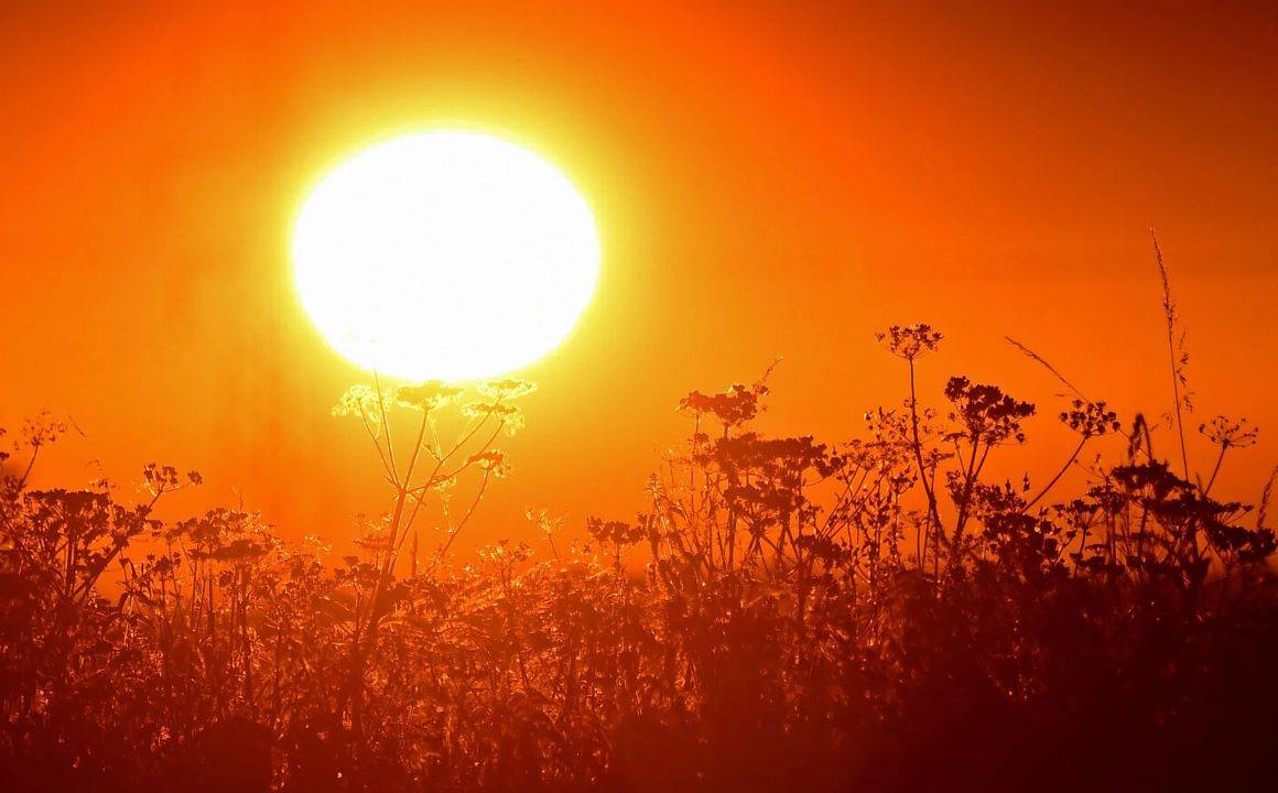 Severe Heatwave Warning: IMD Issues Yellow Alert for UP’s 18 Districts till Monday (Photo Courtesy: Pixabay)