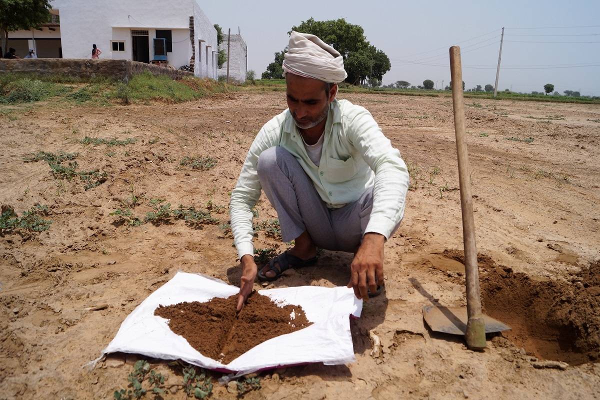 The heart of soil health management is the recognition that soil is a living system