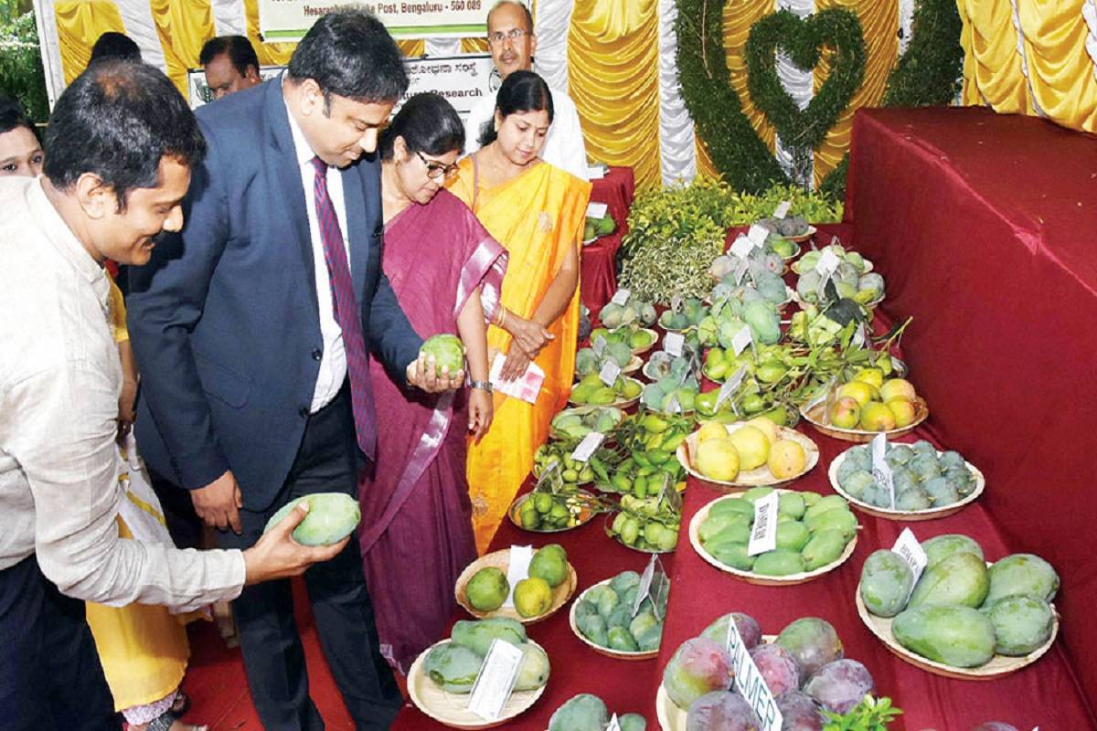 The event features over 26 stalls occupied by growers from Mysuru, Mandya, Ramanagara Chikkaballapur, and Kolar. (Photo Courtesy- Twitter)