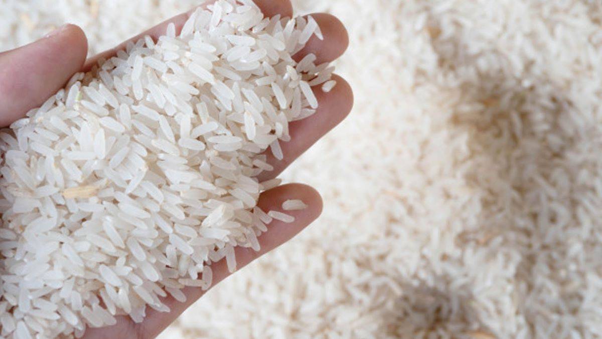 Rice Millers Advocate for Inclusion of Parboiled Rice in Rabi Season to Benefit Ryots (Photo Source: Pixabay)