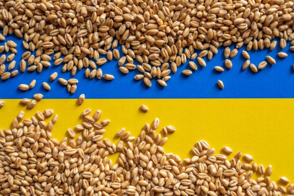 Kyiv Demands Assurances for Black Sea Grain Deal Amidst Consideration of Russian Ammonia Transit (Photo Source: World Grain)