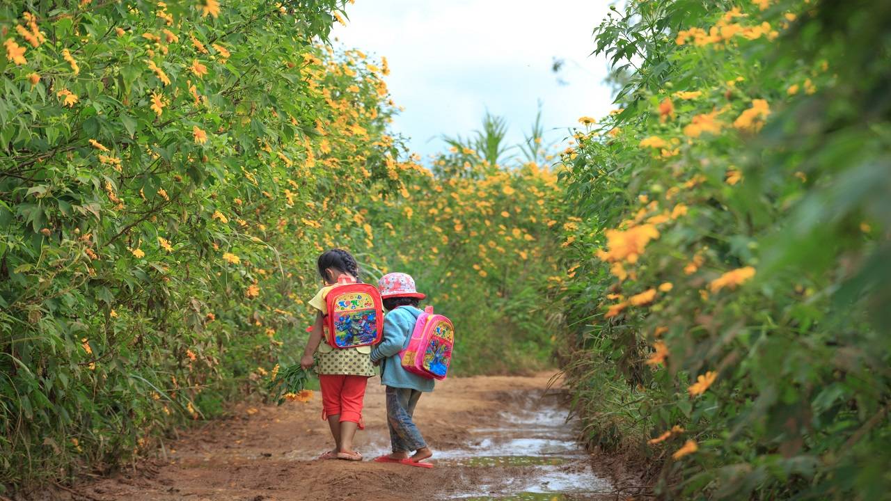 MSBSHSE has announced the integration of agriculture into the curriculum. (Image Courtesy- Unsplash)