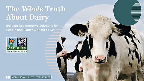 The Whole Truth About Dairy