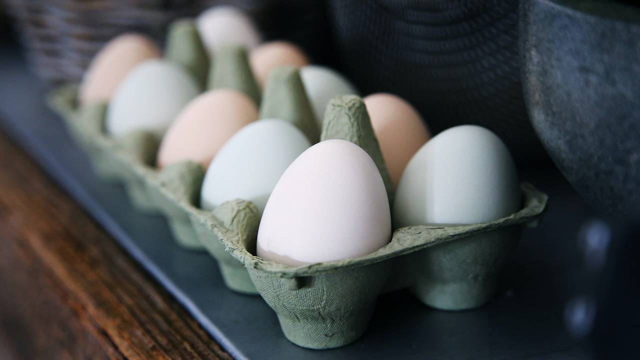 Currently, Sri Lanka has imported 20 million eggs from India, with 10 million eggs already released into the market. (Image Courtesy- Unsplash)
