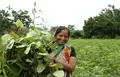 Women in agriculture: Empowering and recognizing their contributions