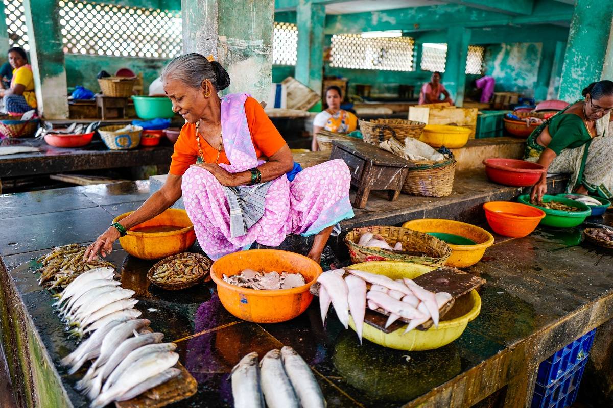 Create Brand of Value-Added Fish Products for Thriving Overseas Market: Kerala Minister