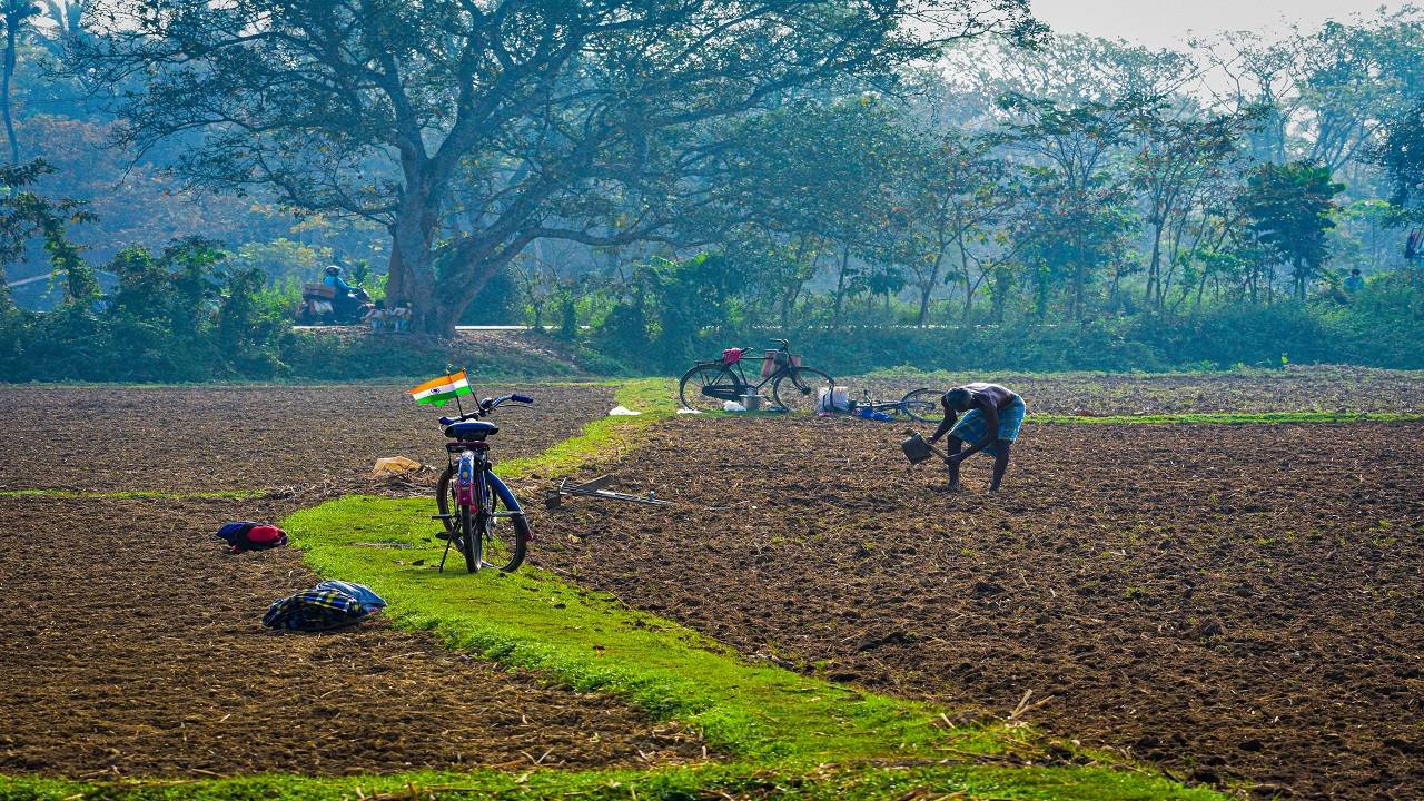 Farmers will learn traditional Indian alternatives to chemical pesticides and fertilizers. (Image Courtesy- Pexels)