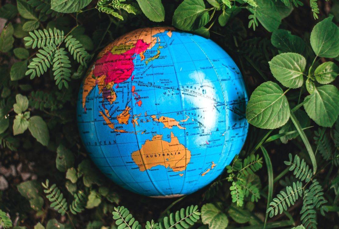 World Environment Day: Embracing De-Growth as Path to Equity & Sustainability (Photo Source: Pexels)