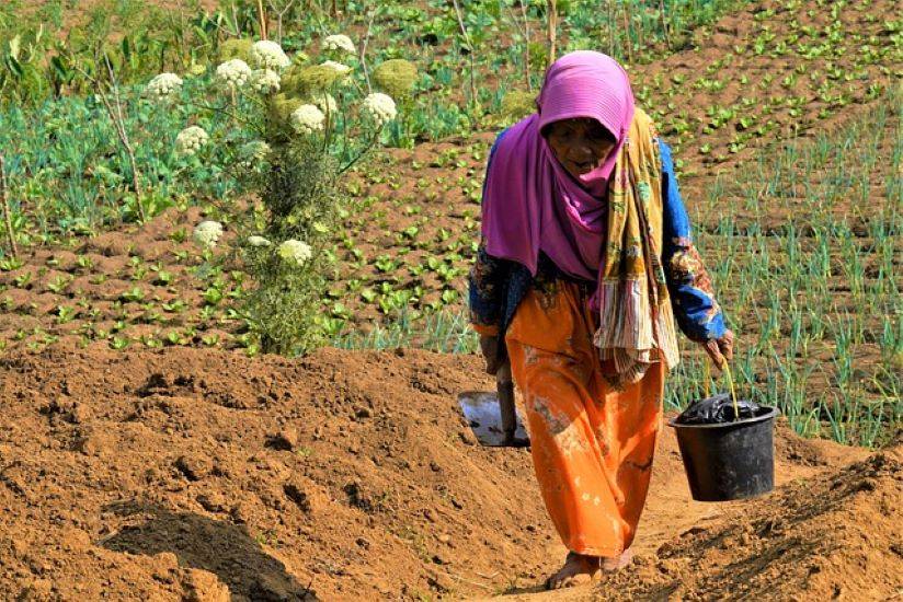 Gender Inequality & Climate Change Exacerbate Food Insecurity for Women in Pakistan's Agri Sector: Study (Photo Source: Pixabay)