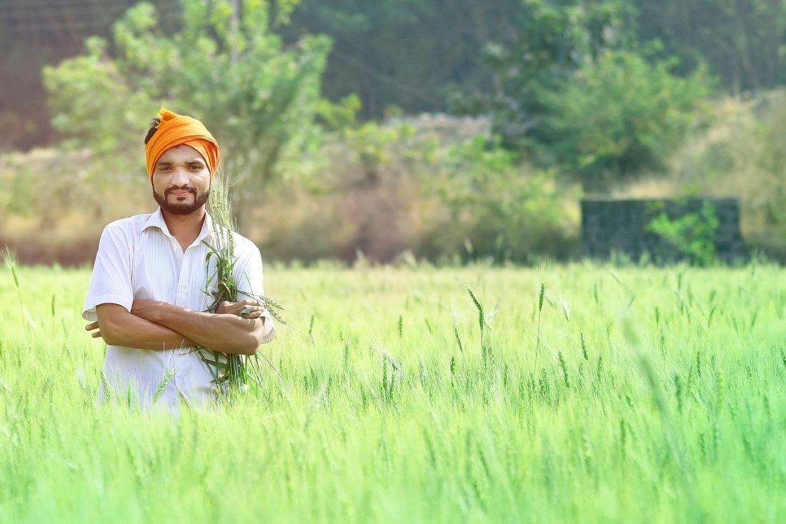 FII & Kisan Chamber of Commerce Signs MoU to Develop Roadmap for Farmer Welfare (Photo Source: Pixabay)
