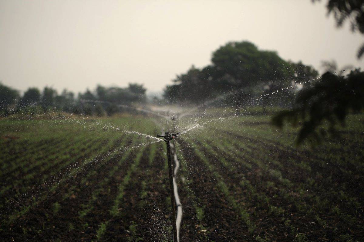 Jharkhand Initiates Probe into Alleged Misuse of Farmers' Aadhaar Cards for Micro-Irrigation Scheme (Photo Source: Pixabay)