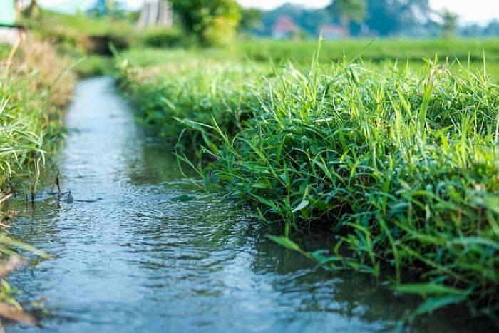 Only 8.87% of Rayalaseema's Arable Land Receives Irrigation Water, Raising Concerns (Photo Source: Pixabay)