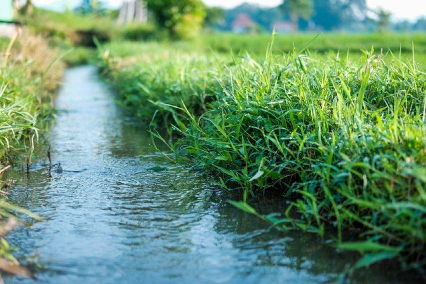 Irrigation Dept Imposes Temporary Ban on Water Lifting for Agricultural Use (Photo Source: Pixabay)
