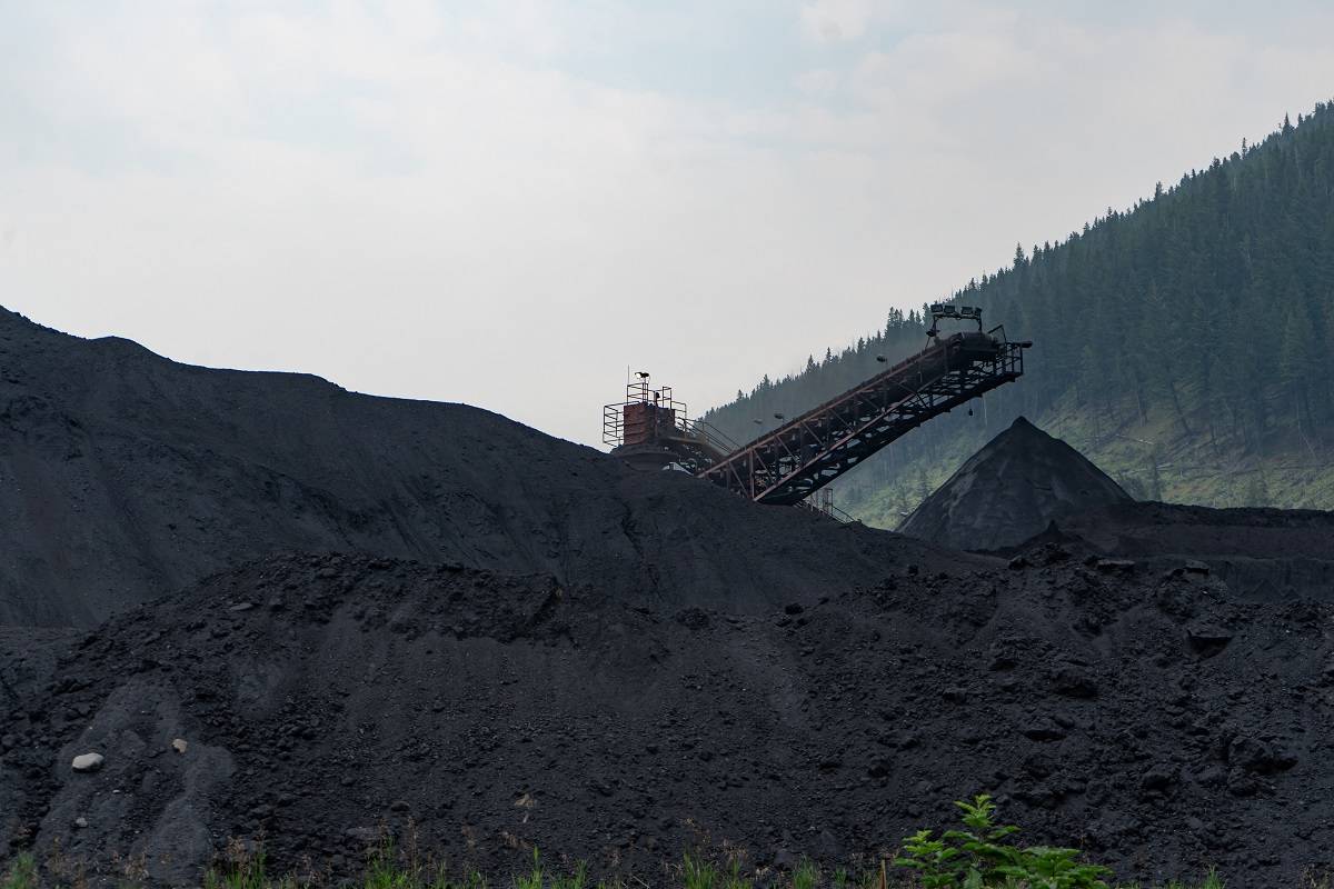Coal India's Employee-Oriented OFS to Begin From June 21; 9.2 Million Shares Up for Government Sale