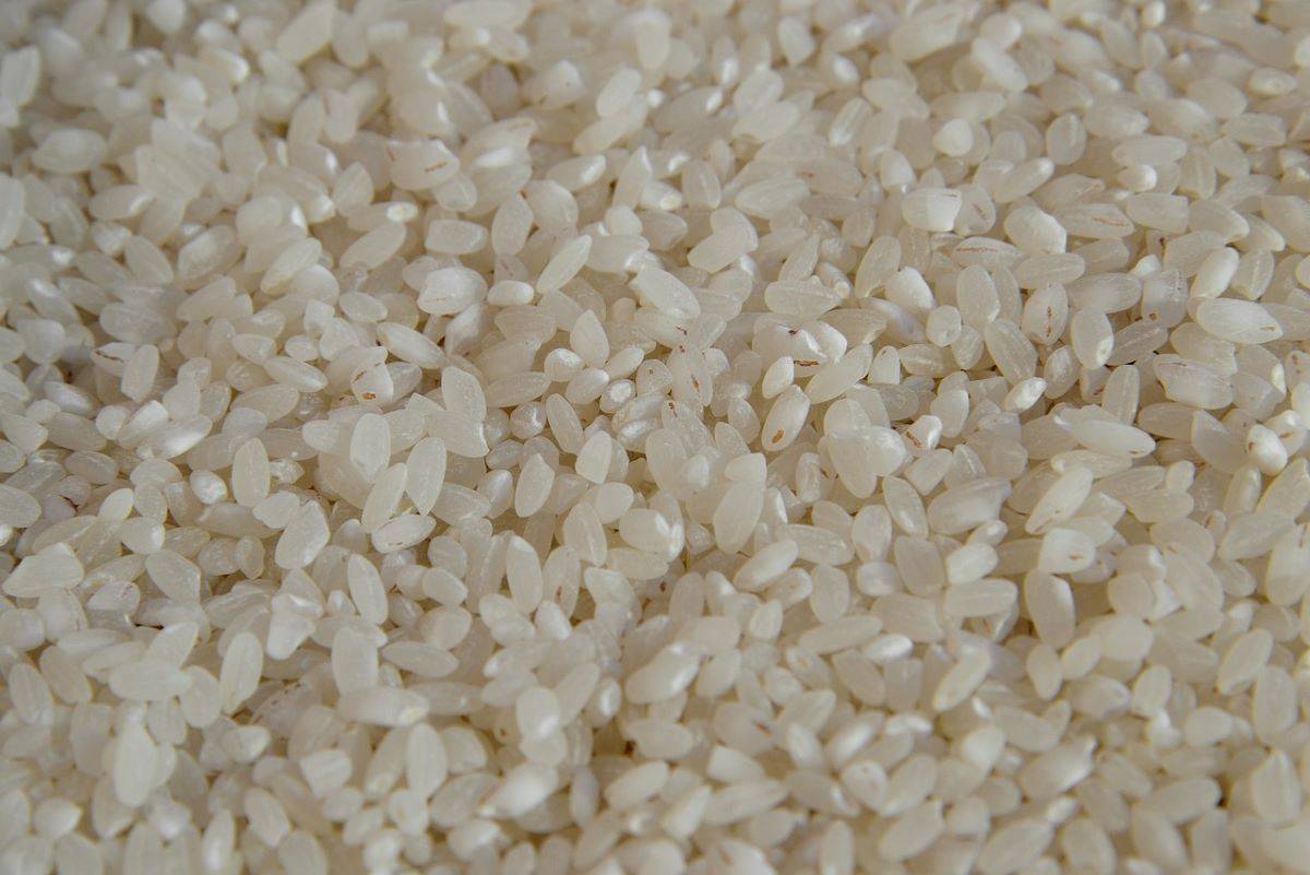 India Permits Wheat and Broken Rice Exports, Fulfilling Requests from 4 Countries (Photo Source: Pixabay)