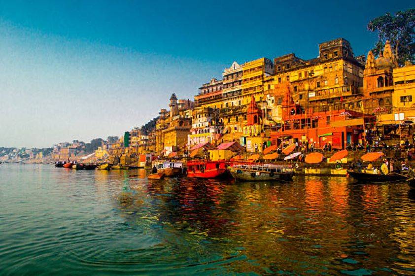 Kashi Emerges as Agricultural Export Hub in Eastern UP, Experiences 420% Growth (Photo Source: Pexels)