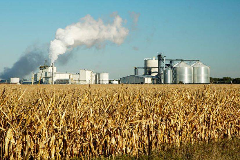 Government Extends Timeline for Disbursement of Loans to Boost Ethanol Production (Photo Source: Pexels)