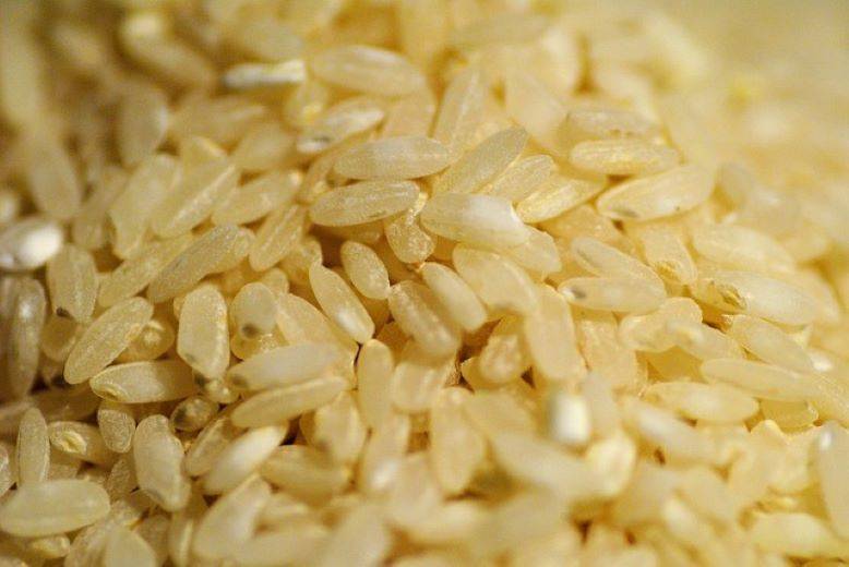 K’taka Govt Offers Cash in Place of 5 kg Extra Rice for BPL Families Amid Grain Shortage (Photo Source: Pixabay)