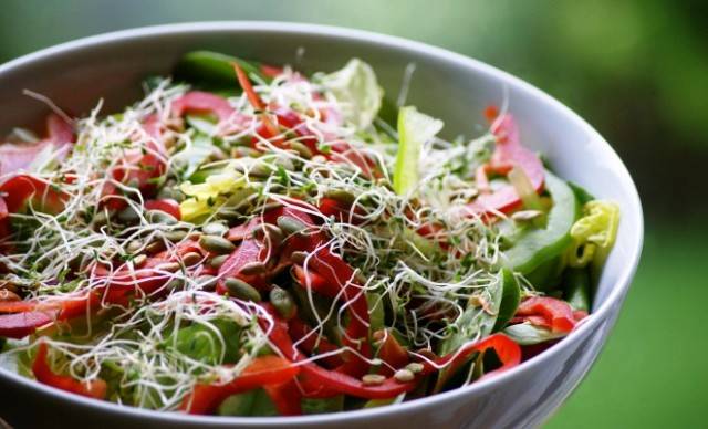 Sprouts Salad