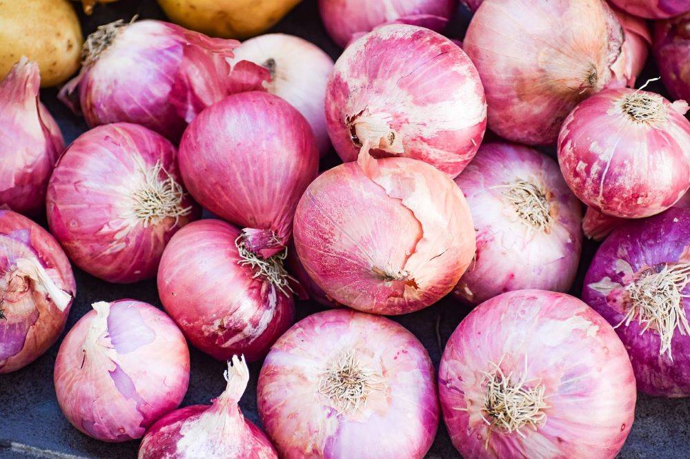 Consumer Affairs Ministry Urges to Boost Kharif Onion Supply with Enhanced Incentives (Photo Source: Pixabay)