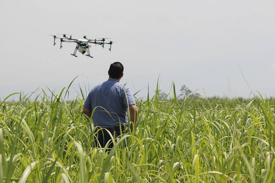 Young Farmers to Receive Training for Operating Agricultural Drones (Photo Source: Pixabay)