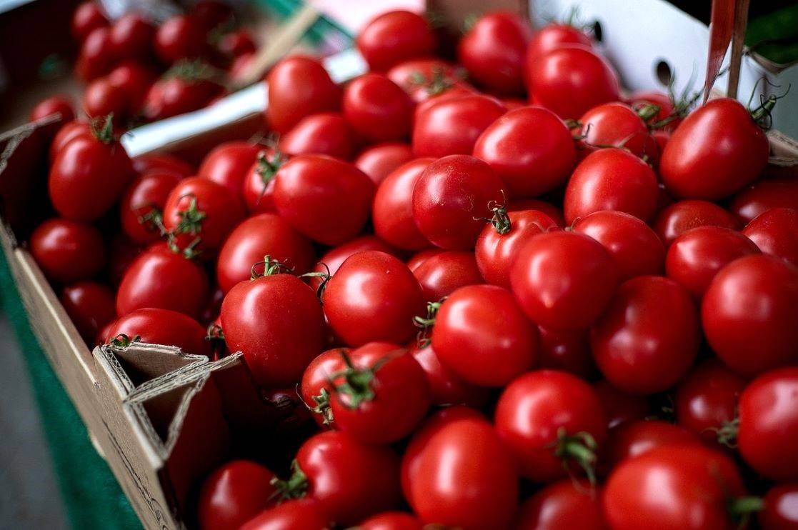 Tomatoes at Rs 50/kg: AP Govt Provides Relief to People through 103 Rythu Bazars (Photo Source: Pixabay)